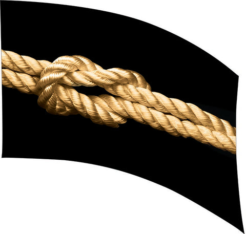 PP#0006